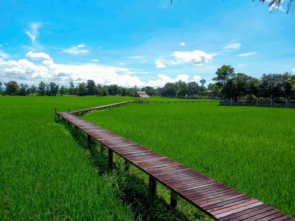 Palm Spa Village Resort Mae Rim Exteriér fotografie